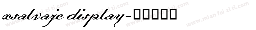 xsalvaje display字体转换
